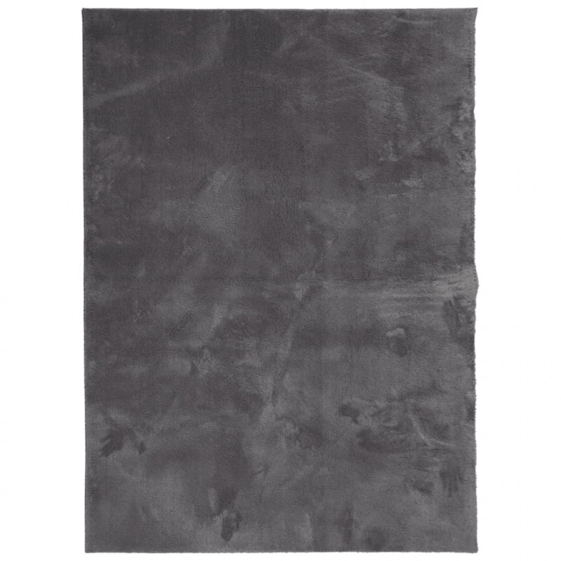 Dywan HUARTE z krótkim włosiem, antracytowy, 120x170 cm