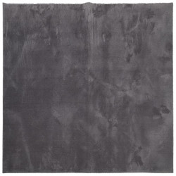 Dywan HUARTE z krótkim włosiem, antracytowy, 160x160 cm
