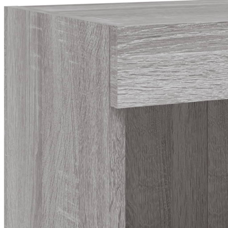 Szafki TV z LED, 2 szt., szary dąb sonoma, 100x30x30 cm