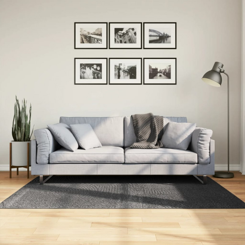 Dywan IZA z krótkim włosiem, antracytowy, 120x170 cm