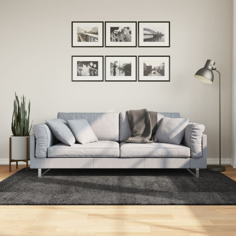 Dywan z długim włosiem PAMPLONA, antracytowy, 140x200 cm