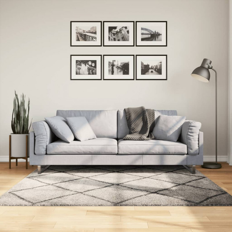 Dywan z długim włosiem PAMPLONA, beżowo-antracytowy, 160x160 cm