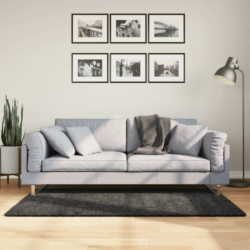 Dywan z długim włosiem PAMPLONA, antracytowy, 80x150 cm