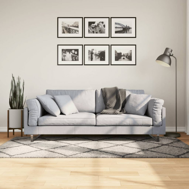 Dywan z długim włosiem PAMPLONA, beżowo-antracytowy, 100x200 cm