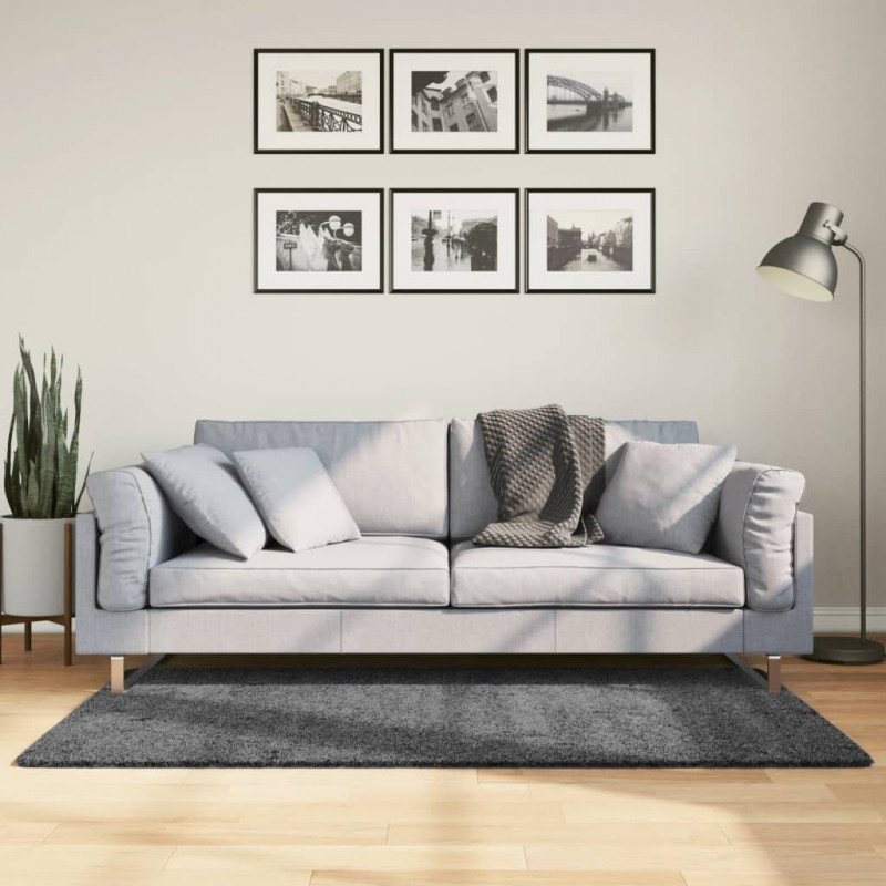 Dywan OVIEDO z krótkim włosiem, antracytowy, 80x150 cm