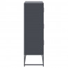 Szafka, antracytowa, 68,5x38,5x123,5 cm, stal