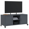 Szafka RTV, antracytowa, 100,5x39x43,5 cm, stal