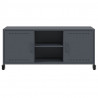 Szafka RTV, antracytowa, 100,5x39x43,5 cm, stal
