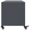 Szafka RTV, antracytowa, 100,5x39x43,5 cm, stal