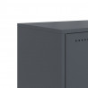 Szafka RTV, antracytowa, 100,5x39x43,5 cm, stal