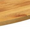 Blat stołu, 100x40x2,5 cm, owalny, lite drewno mango