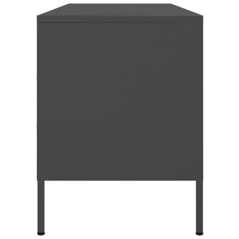 Szafka pod telewizor, czarna, 100,5x39x50,5 cm, stalowa