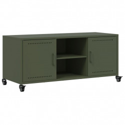 Szafka RTV, oliwkowa, 100,5x39x43,5 cm, stal