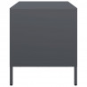 Szafka RTV, czarna, 68x39x43,5 cm, stal walcowana na zimno