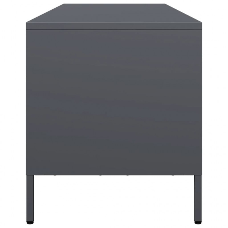Szafka RTV, antracyt, 135x39x43,5 cm, stal walcowana na zimno