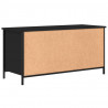 Szafka pod TV, czarna, 100x40x50 cm, materiał drewnopochodny
