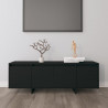 Szafka pod TV, czarna, 120x30x40,5 cm, materiał drewnopochodny