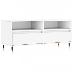 Szafka pod TV, biała, 100x34,5x44,5 cm, materiał drewnopochodny