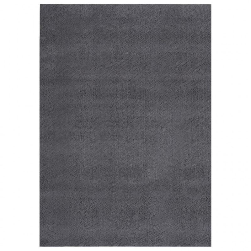 Dywan z krótkim włosiem i możliwością prania 120x170cm antracyt