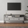 Szafka pod TV, szary dąb sonoma, 100x35x45 cm