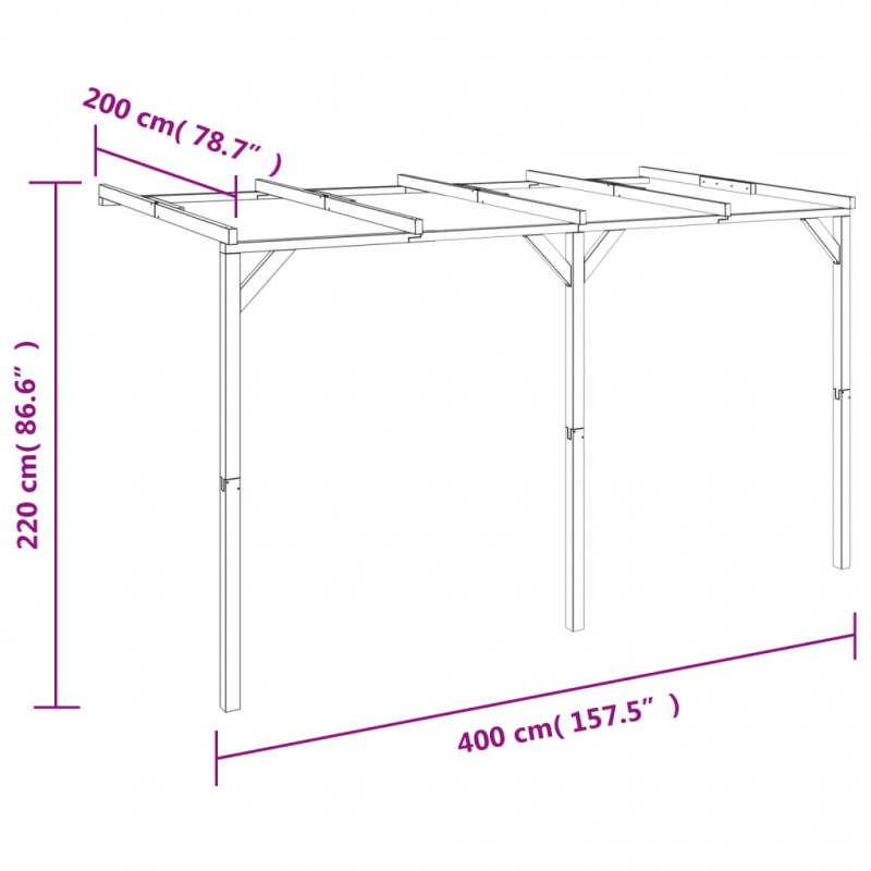 Pergola przyścienna, 2 x 4 x 2,2 m, drewno
