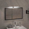 Lampa LED nad lustro, 5,5 W, zimna biel, 30 cm, 6000 K