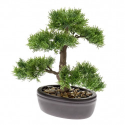 Emerald Sztuczny cedr bonsai, zielony, 32 cm, 420001