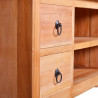 Szafka pod TV, 100x40x45 cm, lite drewno mahoniowe