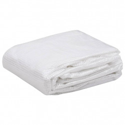 Zastępcze pokrycie szklarni (18 m²), 3x6x2 m, przezroczyste