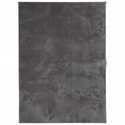 Dywan HUARTE z krótkim włosiem, antracytowy, 160x230 cm