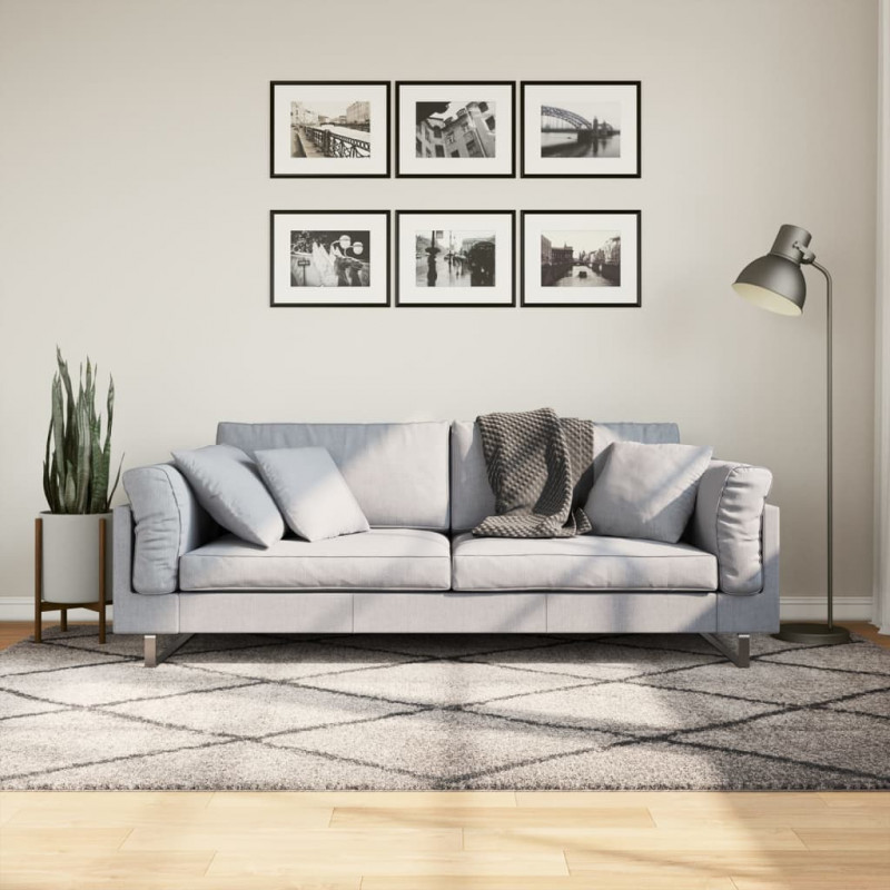 Dywan z długim włosiem PAMPLONA, beżowo-antracytowy, 160x230 cm