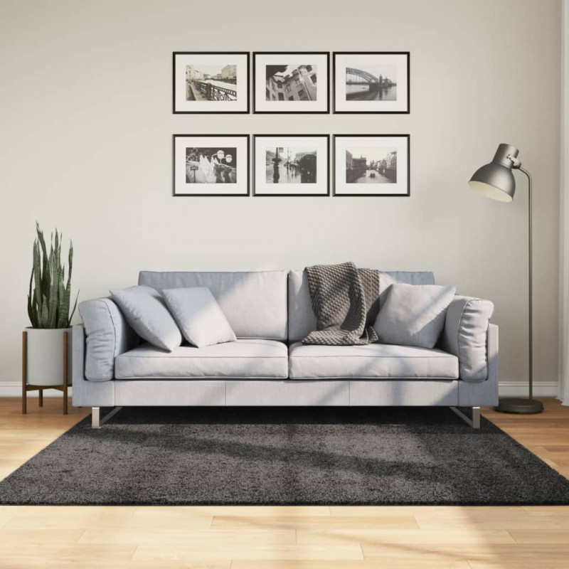 Dywan z długim włosiem PAMPLONA, antracytowy, 160x160 cm
