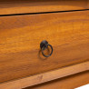 Szafka pod TV, 110 x 35 x 40 cm, lite drewno tekowe