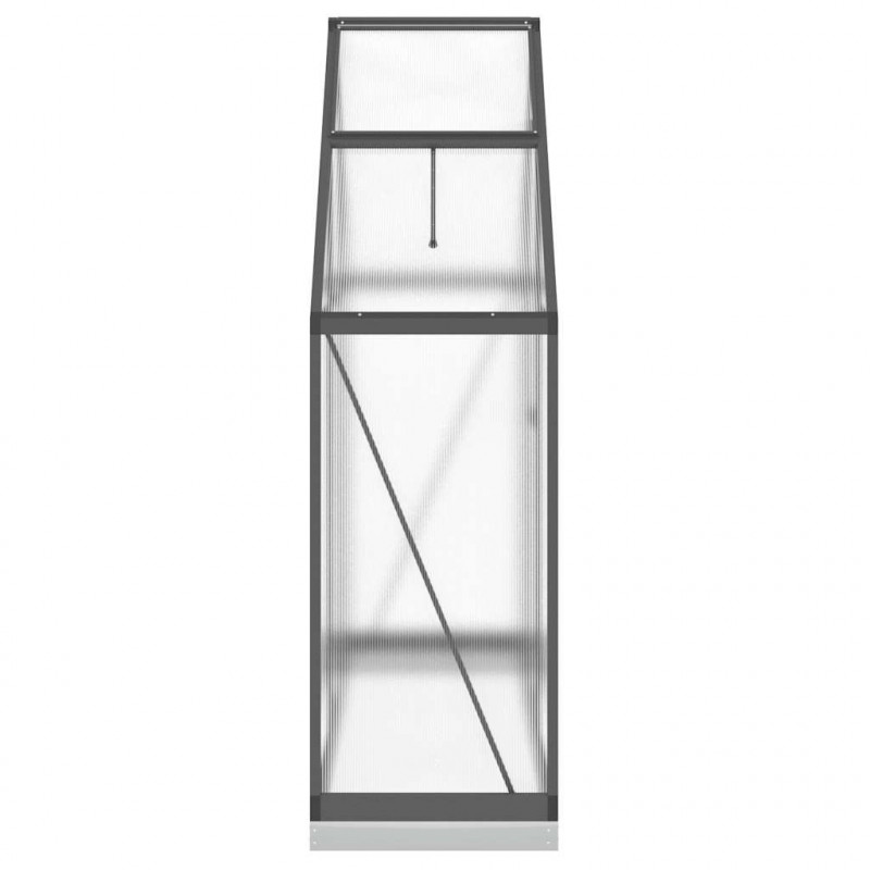 Szklarnia z ramą podstawy, antracyt, 169x58x202 cm, aluminium