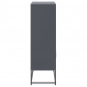 Szafka, antracytowa, 68,5x38,5x123,5 cm, stal