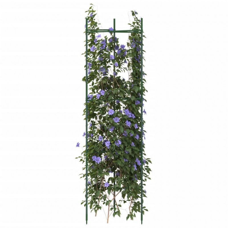 Podpórki do pomidorów, 6 szt., 116 cm, stal i PP