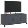 Szafka RTV, antracytowa, 100,5x39x43,5 cm, stal