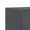 Szafka RTV, antracytowa, 100,5x39x43,5 cm, stal
