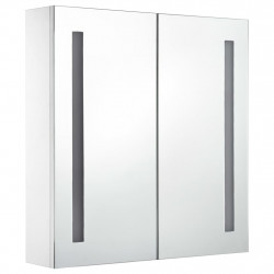 Szafka łazienkowa z lustrem i LED, 60 x 14 x 62 cm