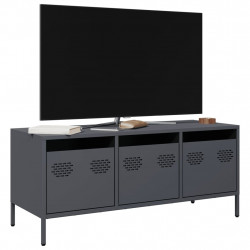 Szafka RTV, antracyt, 101,5x39x43,5 cm, stal walcowana na zimno