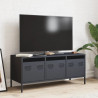 Szafka RTV, antracyt, 101,5x39x43,5 cm, stal walcowana na zimno