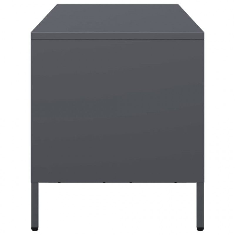 Szafka RTV, antracyt, 101,5x39x43,5 cm, stal walcowana na zimno