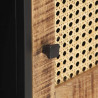 Szafka pod TV, 120x30x40 cm, drewno mango i naturalna trzcina