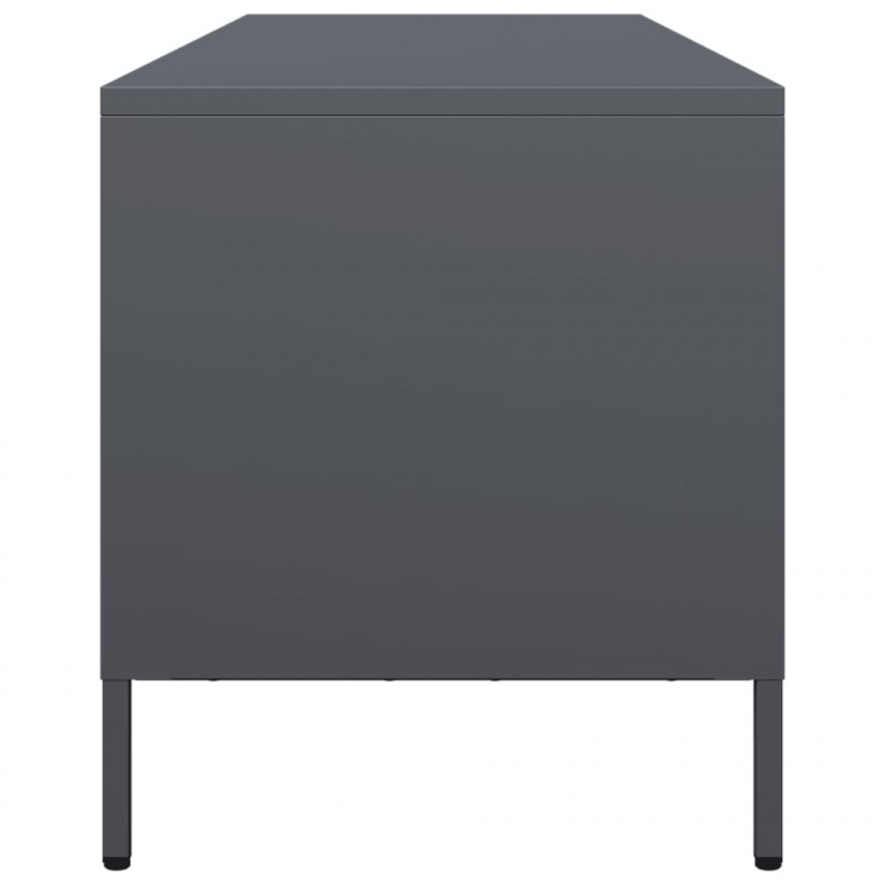 Szafka RTV, antracyt, 135x39x43,5 cm, stal walcowana na zimno