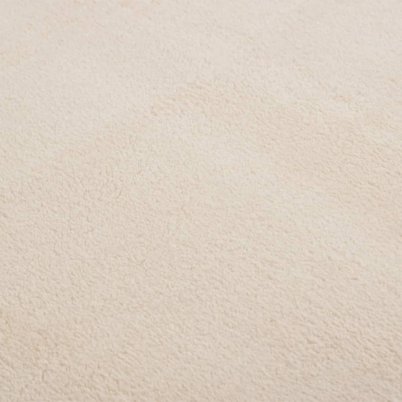 Dywan z krótkim włosiem i możliwością prania 200x290 cm, beżowy