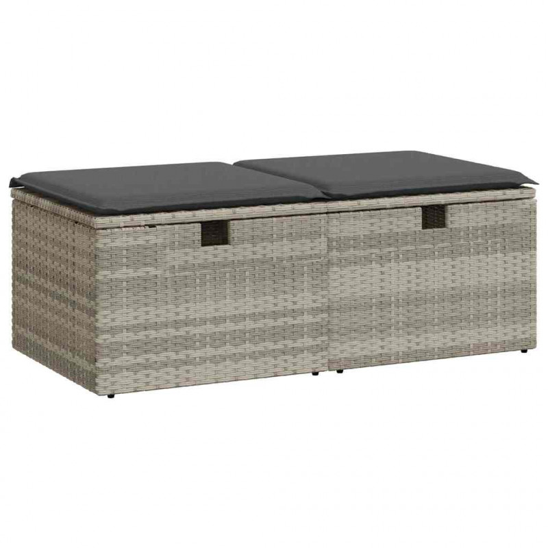 2-cz sofa ogrodowa z poduszkami, jasnoszary, rattan PE i akacja