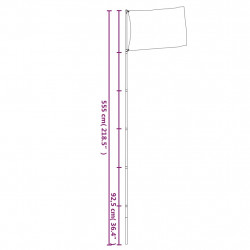 Teleskopowy maszt flagowy, srebrny, 5,55 m, aluminium