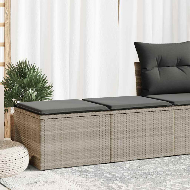 2-cz sofa ogrodowa z poduszkami, jasnoszary, rattan PE i akacja