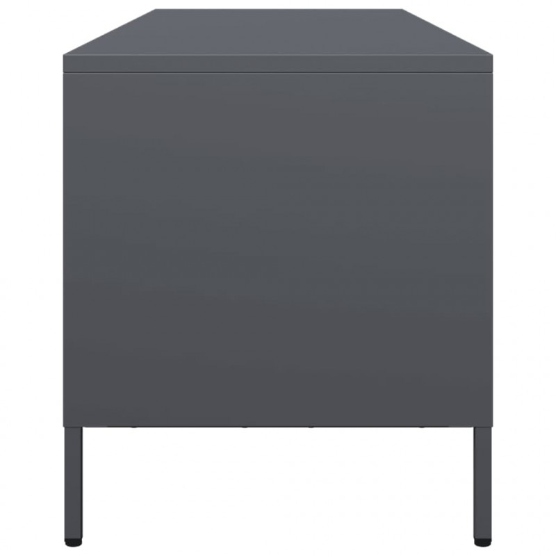 Szafka RTV, antracyt, 135x39x43,5 cm, stal walcowana na zimno