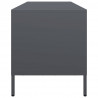 Szafka RTV, antracyt, 135x39x43,5 cm, stal walcowana na zimno